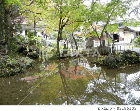 池に映る紅葉 85196305