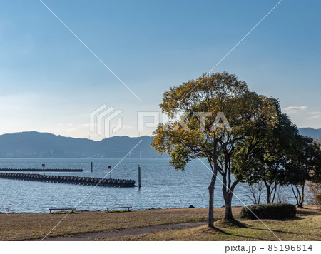冬の琵琶湖岸の公園 冬の琵琶湖岸の公園 85196814