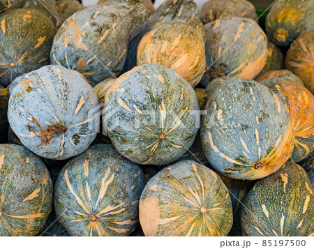Pumpkin on farmer's market. Lots of various pumpkins. Yellow and green squash. Gathered autumn harvest 85197500