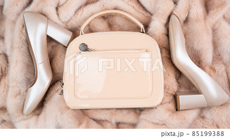 female leather stylish footwear. fashion accessory. pair of fashionable leather shoes and bag. 85199388