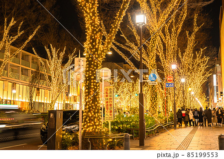 東京都 表参道 冬のイルミネーションの写真素材