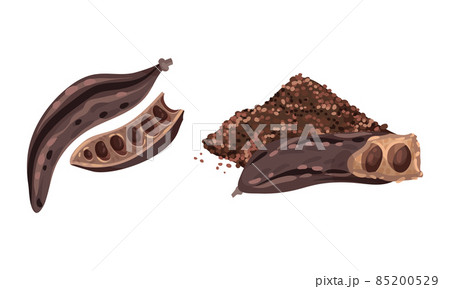 Ripe carob pods set. Organic healthy food vector illustration Ripe carob pods set. Organic healthy food vector illustration 85200529