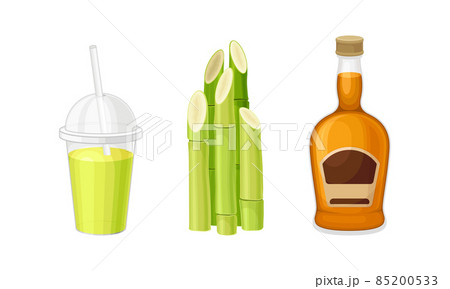 Sugarcane products set. Kombucha and bottle of rum vector illustration 85200533
