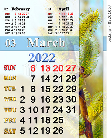 calendar for March 2022 with pine branches of blossoming willow. Photo calendar 85201067