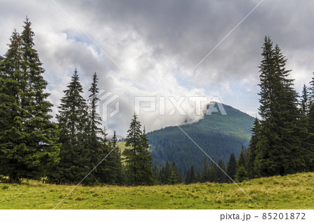 Clouds over top of a mountain with green pine forest and grass meadow Clouds over top of a mountain with green pine forest and grass meadow 85201872
