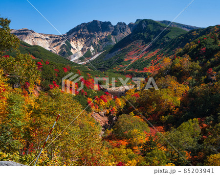 十勝岳温泉の紅葉 十勝岳温泉の紅葉 85203941