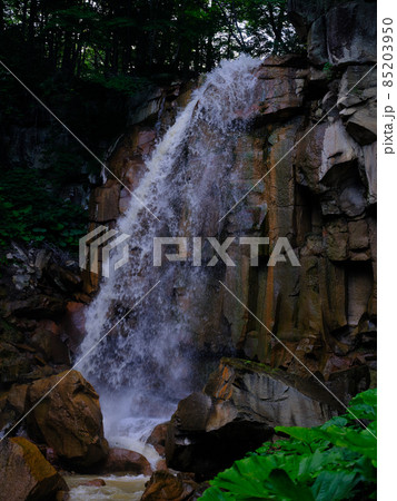 白藤ノ滝 85203950