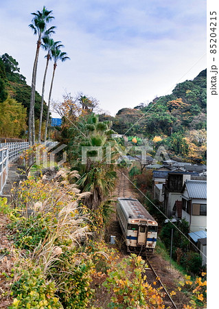 港町の裏を朝日を受けながら椰子の木が生える海や鮮やかな紅葉山の自然の中を抜ける走る日南線キハ40 港町の裏を朝日を受けながら椰子の木が生える海や鮮やかな紅葉山の自然の中を抜ける走る日南線キハ40 85204215