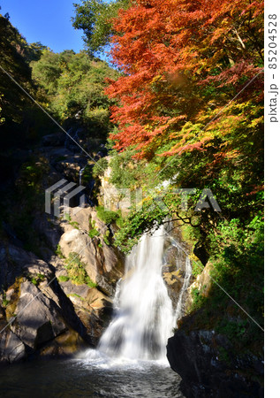 紅葉が美しい秋の見帰りの滝 85204528