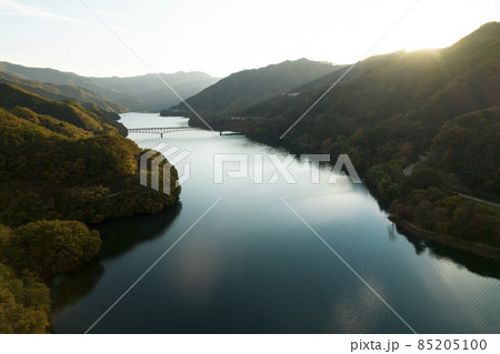 夕暮時の渡良瀬川と秋の紅葉　ドローン空撮 85205100