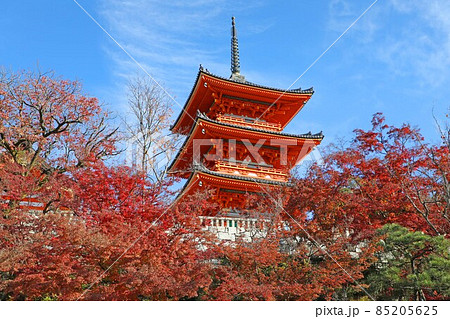 清水寺　三重塔と紅葉 85205625