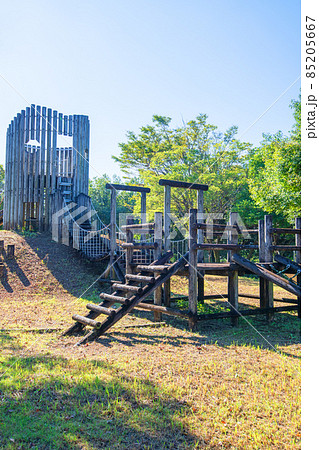 見沼元圦公園　遊戯広場　秋の風景　　 85205667