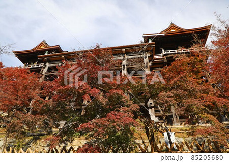 清水寺　本堂の舞台下 85205680