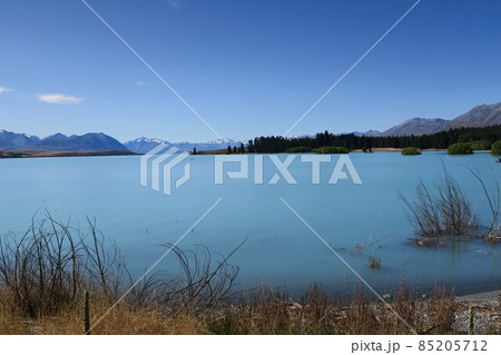 マッケンジー・カントリーのテカポ湖 マッケンジー・カントリーのテカポ湖 85205712