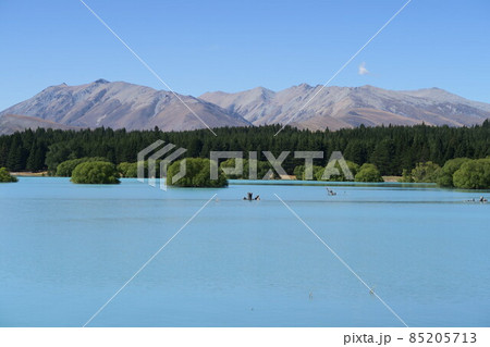 マッケンジー・カントリーのテカポ湖 マッケンジー・カントリーのテカポ湖 85205713