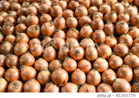Onion for sale at vegetable market, close up. Boxes full of onions in shop. Onions at the greengrocer's stall. Vegetable. Onion for sale at vegetable market, close up. Boxes full of onions in shop. Onions at the greengrocer's stall. Vegetable. 85205770