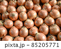 Onion for sale at vegetable market, close up. Boxes full of onions in shop. Onions at the greengrocer's stall. Vegetable. 85205771