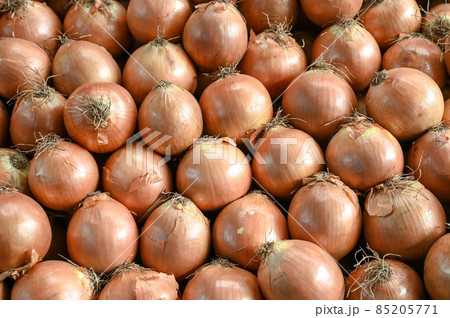 Onion for sale at vegetable market, close up. Boxes full of onions in shop. Onions at the greengrocer's stall. Vegetable. 85205771