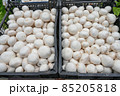 Fresh mushrooms for sale at vegetable market, close up. Boxes full of mushrooms in shop. Champignon at the greengrocer's stall. Agaricus bisporus 85205818