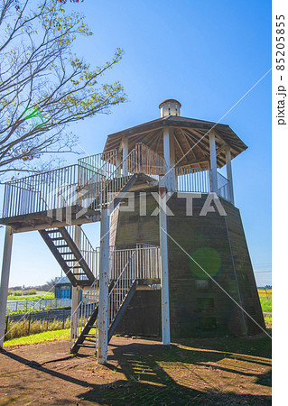 見沼元圦公園 展望台 秋の風景 見沼元圦公園 展望台 秋の風景 85205855