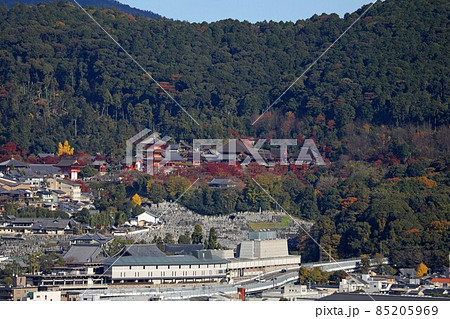 清水寺 全景 清水寺 全景 85205969