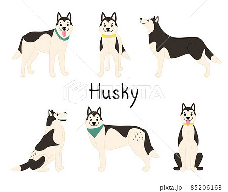 are siberian huskies playful