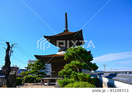 大樹寺　多宝塔　岡崎市 85206553