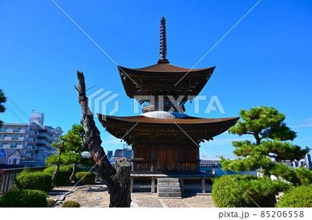 大樹寺　多宝塔　国指定重要文化財　岡崎市 85206558