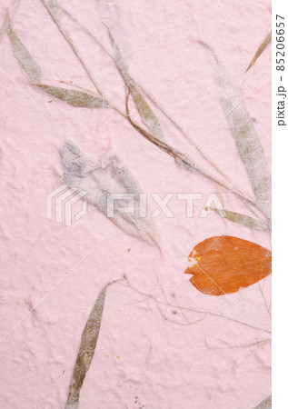 mulberry paper with red and yellow flower petal and seed texture background. mulberry paper with red and yellow flower petal and seed texture background. 85206657
