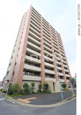 ローレルコート八田 ローレルコート八田 85207245