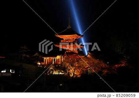 夜の清水寺 全景 夜の清水寺 全景 85209059