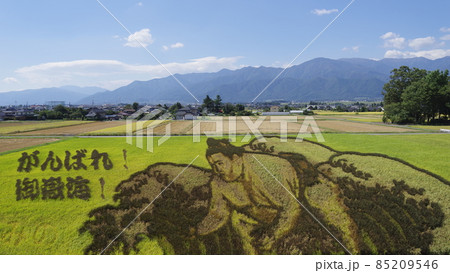 田んぼアート 85209546
