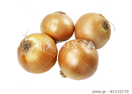 玉ねぎ大横キリヌキ  85210270