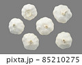 にんにく俯瞰グレー背景キリヌキ にんにく俯瞰グレー背景キリヌキ 85210275