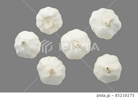 にんにく俯瞰グレー背景キリヌキ 85210275