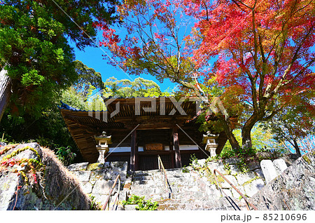 滝山寺 滝山東照宮 観音堂 紅葉 岡崎市 滝山寺 滝山東照宮 観音堂 紅葉 岡崎市 85210696