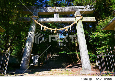 滝山東照宮 鳥居 岡崎市 滝山東照宮 鳥居 岡崎市 85210906