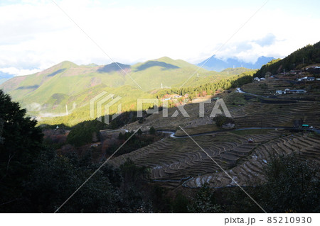 丸山千枚田 丸山千枚田 85210930