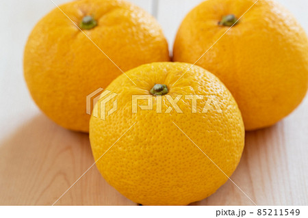 柚子 柚子 85211549