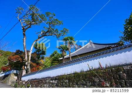滝山寺 滝山東照宮 本坊の参道 岡崎市 滝山寺 滝山東照宮 本坊の参道 岡崎市 85211599
