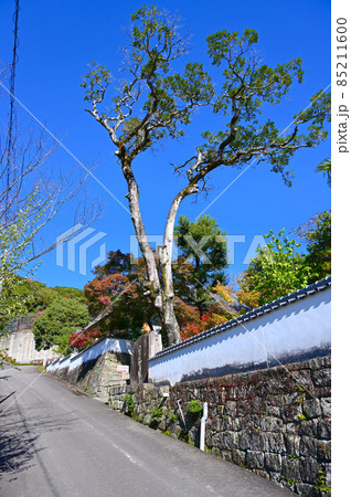 滝山寺 滝山東照宮 本坊の参道 岡崎市 滝山寺 滝山東照宮 本坊の参道 岡崎市 85211600