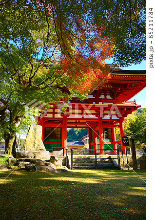 瀧山寺 三門 紅葉 岡崎市 瀧山寺 三門 紅葉 岡崎市 85211784