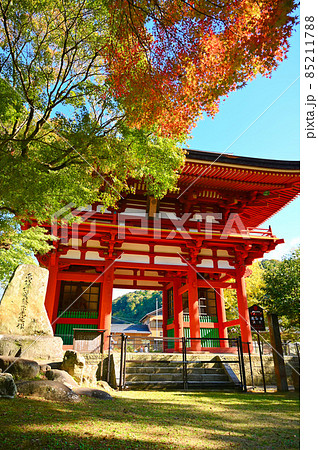 瀧山寺 三門 紅葉 岡崎市 瀧山寺 三門 紅葉 岡崎市 85211788