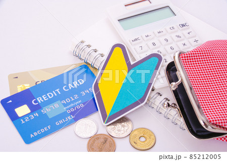 お金の管理 初心者 85212005