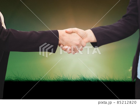Mid section of businessman and businesswoman shaking hands against grass field in background Mid section of businessman and businesswoman shaking hands against grass field in background 85212820