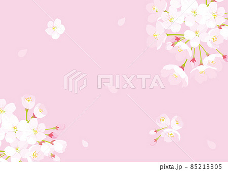 桜 背景イラストのイラスト素材