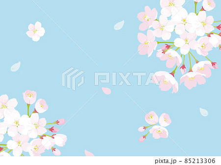 桜 背景イラスト 桜 背景イラスト 85213306