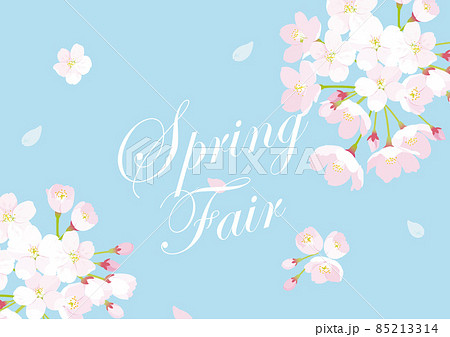 桜 スプリングフェアイメージイラスト 桜 スプリングフェアイメージイラスト 85213314