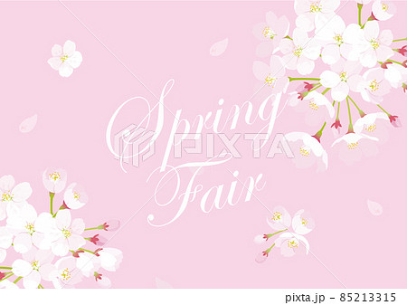 桜 スプリングフェアイメージイラストのイラスト素材