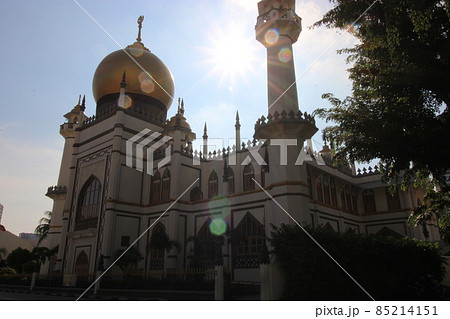 シンガポールの裏原宿　アラブストリート　&　魅力溢れるチャイナタウン 85214151